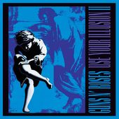 Use Your Illusion II (2LPs)