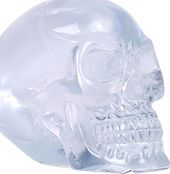 Skull - Set of 4 Small Translucent Skulls