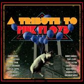 A Tribute to Pink Floyd (CD + DVD)