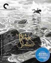 The Black Stallion (Criterion Collection)