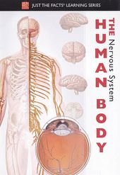 Just the Facts: The Human Body - The Nervous