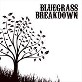 Bluegrass Breakdown (Live)