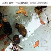 Schubert: Sonatas & Impromptus (2-CD)