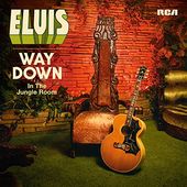 Way Down in the Jungle Room (2-CD)