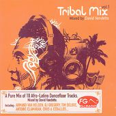 Tribal Mix, Vol. 1: Mixed by David Vendetta