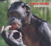 Babybird-The F-Word