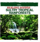 Healing Sounds: Sultry Tropical Rainforests