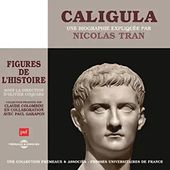 Caligula, une biographie expliquee: Les figures