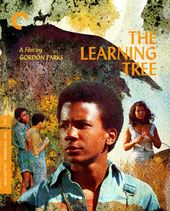 Learning Tree, The Dvd (2Pc) / (2Pk)