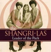 Leader of the Pack: 20-Song Collection