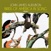 Birds of America in Song