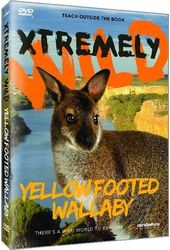 Xtremely Wild: Yellow Footed Wallaby