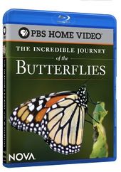 Nova - The Incredible Journey of the Butterflies