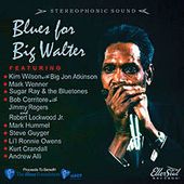 Blues for Big Walter