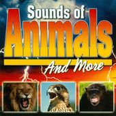 Sounds of Animals and More