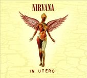 In Utero (20th Anniversary Edition) [Deluxe
