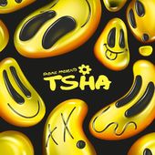 Fabric Presents TSHA (2-CD)