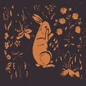 Rabbit Album
