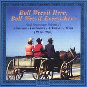 Field Recordings, Volume 16: Boll Weevil Here,