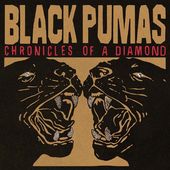 Chronicles of a Diamond (Clear LP with Poster and