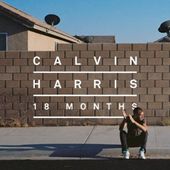 18 Months (2-LPs)