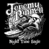 Night Time Eagle