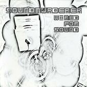 Wired for Sound
