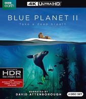 Blue Planet II (4k UltraHD + Blu-ray)