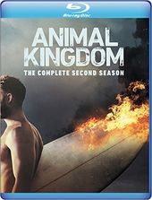 Animal Kingdom - Complete 2nd Season (Blu-ray)