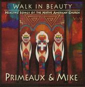 Walk in Beauty: Healing Songs, Volume 4