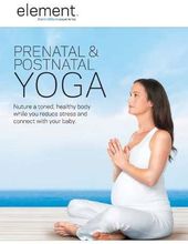 Element: The Mind & Body Experience - Prenatal &