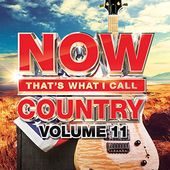 NOW That's What I Call Country, Volume 11