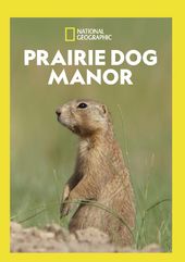 National Geographic - Prairie Dog Manor (3-Disc)
