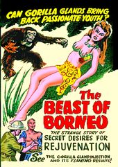 The Beast of Borneo