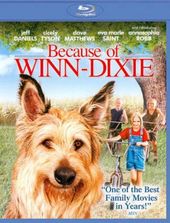 Because of Winn-Dixie (Blu-ray)