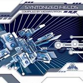 Syntonized Fields [import]