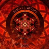 Ancient Secret of The Flower of Life [import]