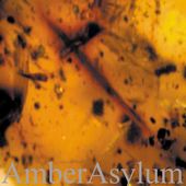 Frozen in Amber [Slipcase] (2-CD)