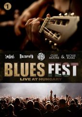 Blues Fest: Live at Hungary