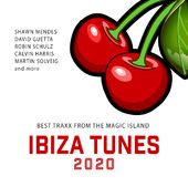 Ibiza Tunes 2020 (2-CD)