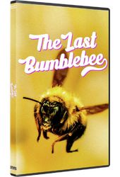 Last Bumblebee / (Mod Ac3 Dol)