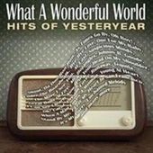 What a Wonderful World: Hits of Yesterday (2-CD)