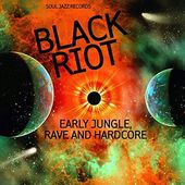 Black Riot (2 LP)