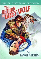 Silent Adventure Classics: Return of Grey Wolf
