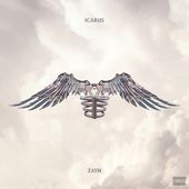 Icarus Falls (2-CD)