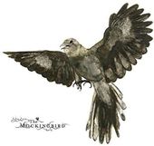 The Mockingbird [Digipak]
