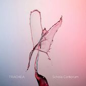 Schola Cantorum: Trachea (Sacdh)