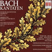 Bach: Cantatas, BWV 173a, 173, 26