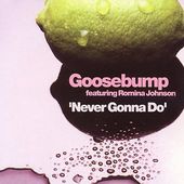 Never Gonna Do [CD/12"] [Single]