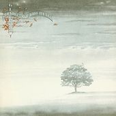 Wind & Wuthering (180GV - Deluxe Edition)
